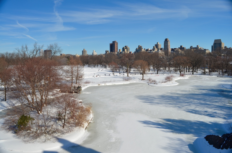 Illustration for article titled Central Park: After the Storm